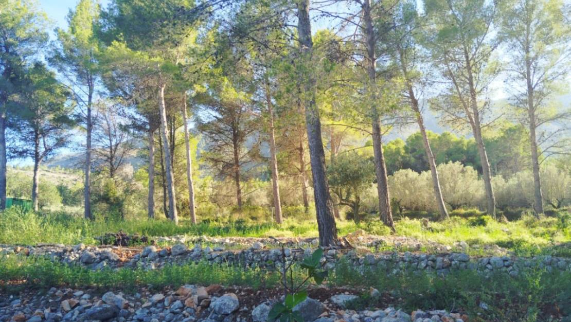 Venta - Chalet - Parcent