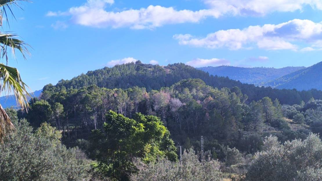 Venta - Chalet - Parcent