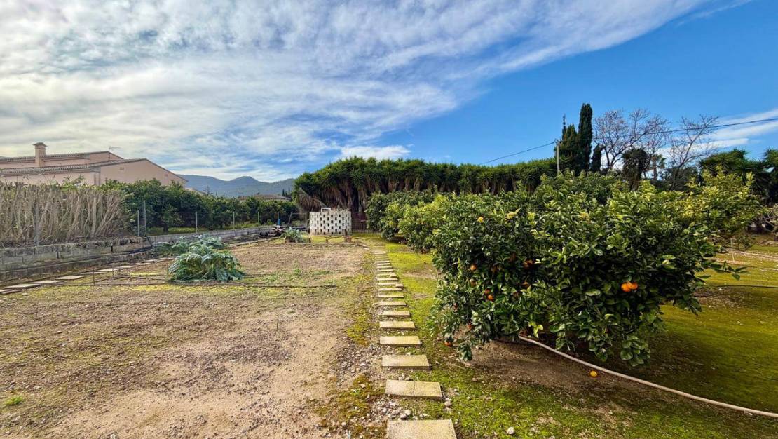 Venta - Chalet - Pedreguer - Pedreguer Centro