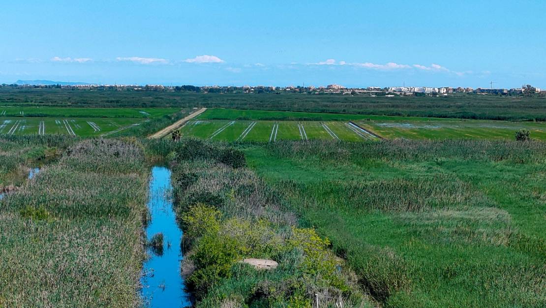 Venta - Chalet - Pego - Monte Pego