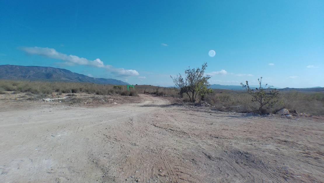 Venta - Chalet - Pinoso - Pinoso Centro