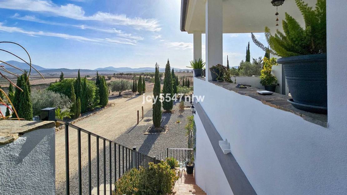 Venta - Chalet - Pinoso - Pinoso Centro