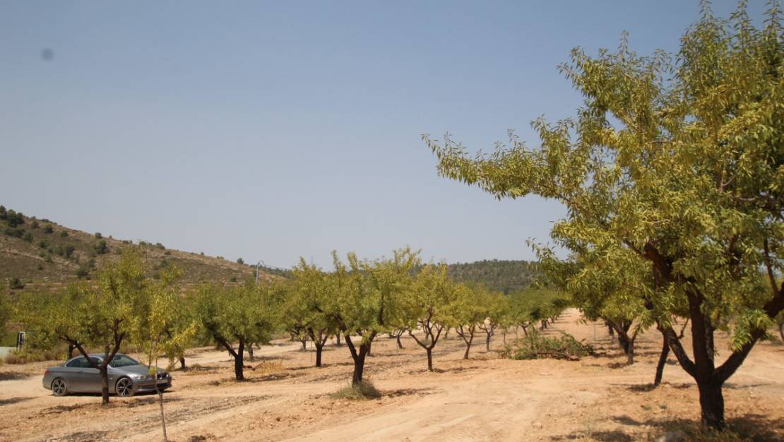 Venta - Chalet - Pinoso - Pinoso Centro