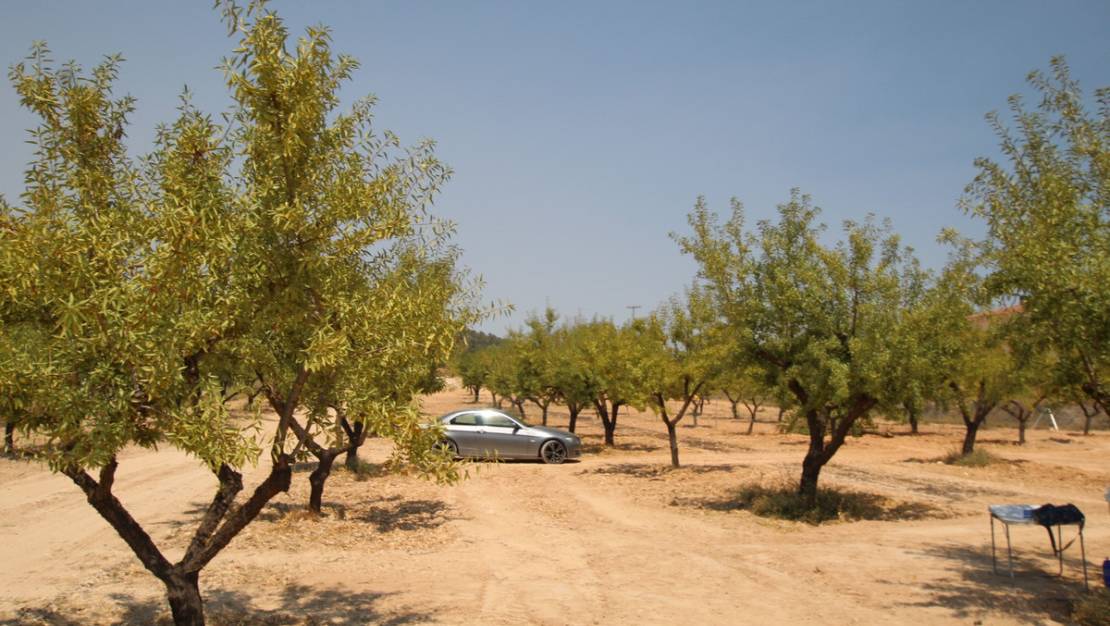 Venta - Chalet - Pinoso - Pinoso Centro