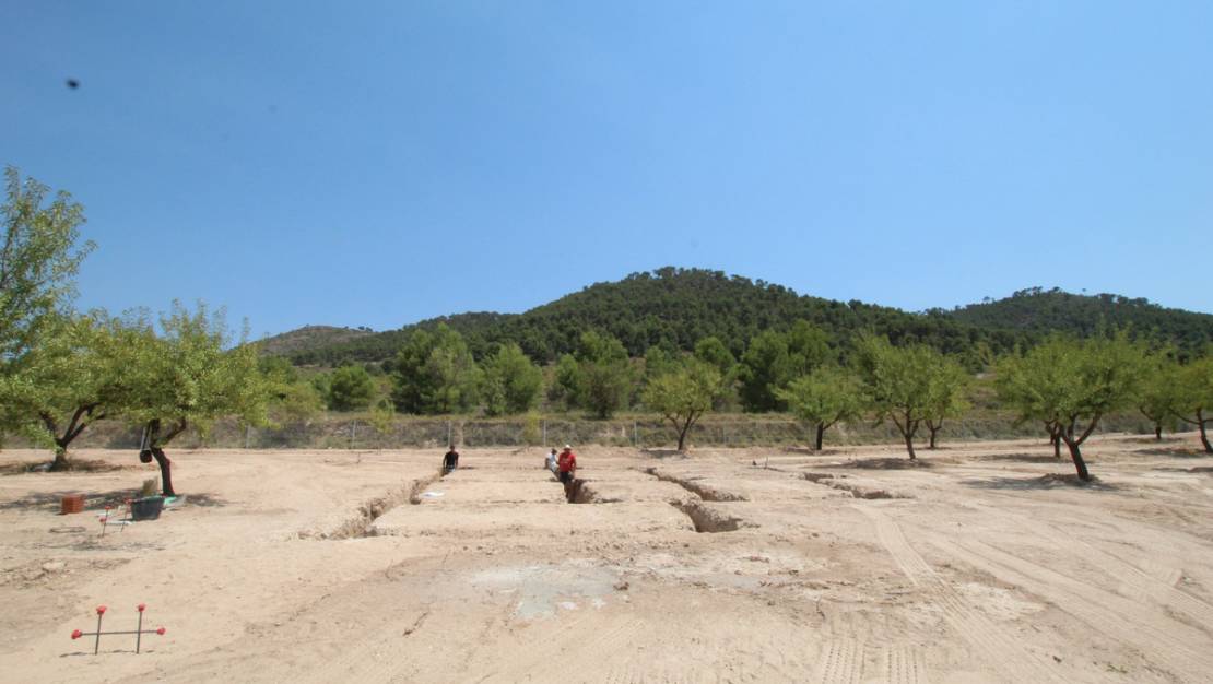 Venta - Chalet - Pinoso - Pinoso Centro