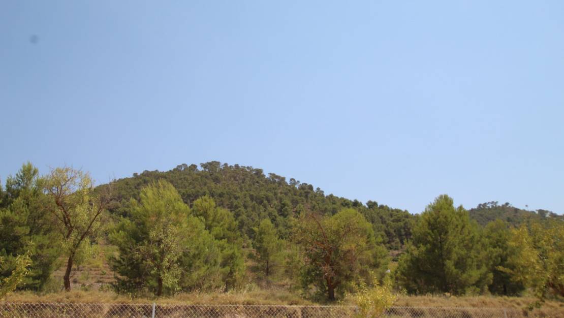 Venta - Chalet - Pinoso - Pinoso Centro