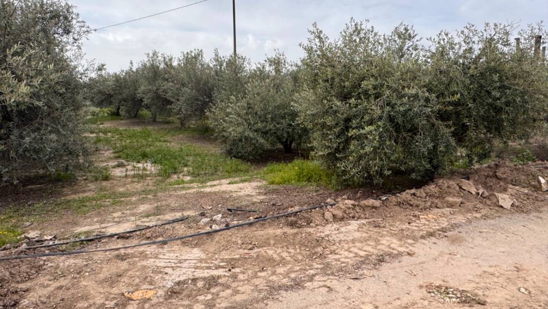 Venta - Chalet - Puerto Lumbreras - Esparragal de Puerto Lumbreras