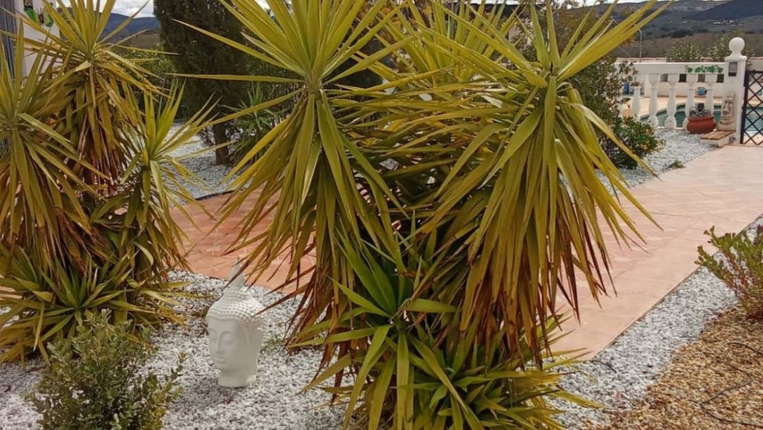 Venta - Chalet - Puerto Lumbreras - Puerto Lumbreras Centro