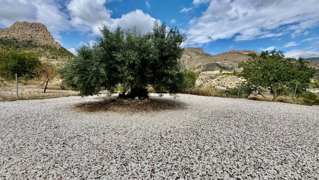 Venta - Chalet - Relleu - Relleu Centro