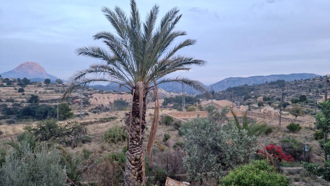 Venta - Chalet - Relleu - Relleu Centro