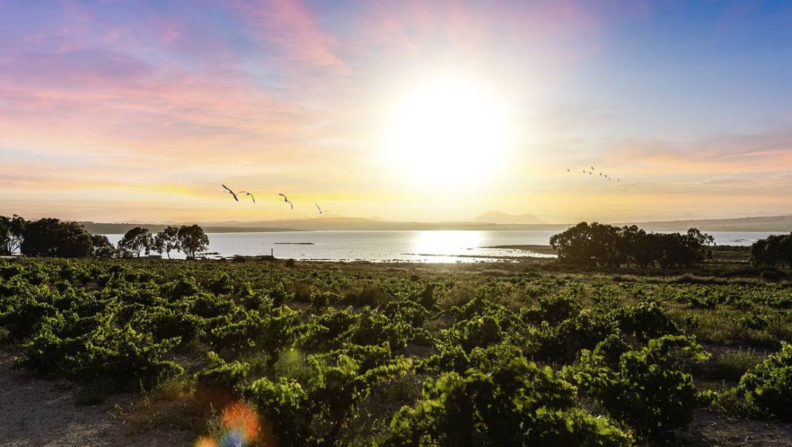 Venta - Chalet - Rojales - Ciudad Quesada