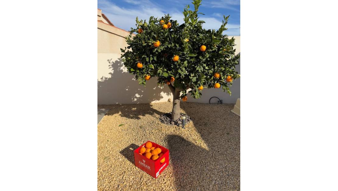 Venta - Chalet - Rojales - Ciudad Quesada