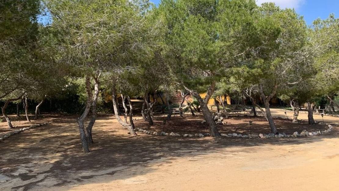 Venta - Chalet - Rojales - Ciudad Quesada