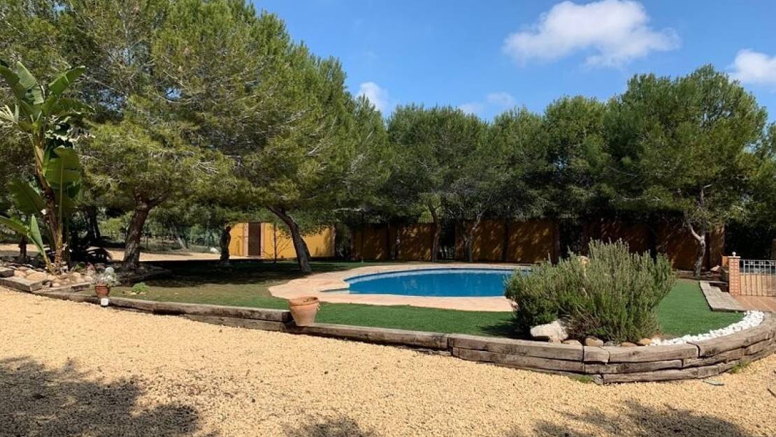 Venta - Chalet - Rojales - Ciudad Quesada