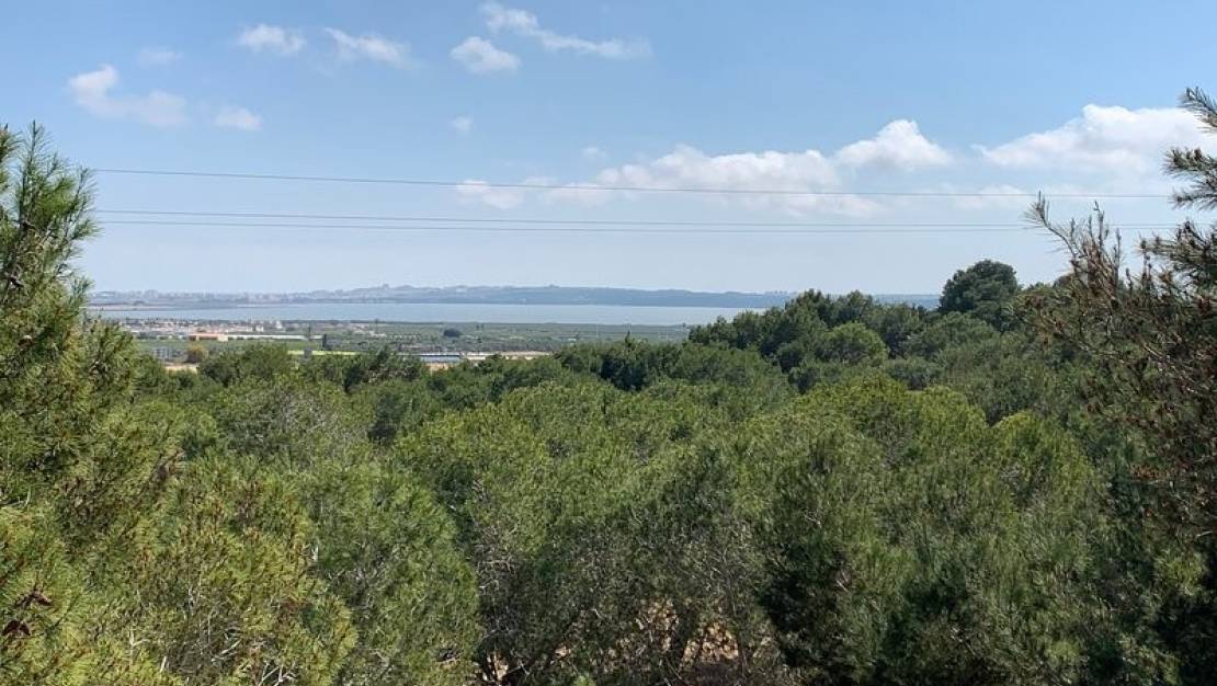 Venta - Chalet - Rojales - Ciudad Quesada