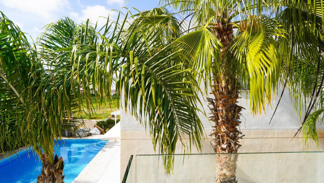 Venta - Chalet - Rojales - Ciudad Quesada