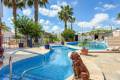 Venta - Chalet - Rojales - Ciudad Quesada