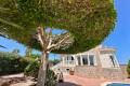 Venta - Chalet - Rojales - Ciudad Quesada