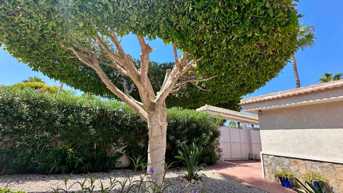 Venta - Chalet - Rojales - Ciudad Quesada