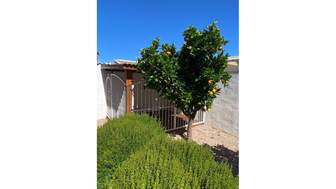 Venta - Chalet - Rojales - Ciudad Quesada