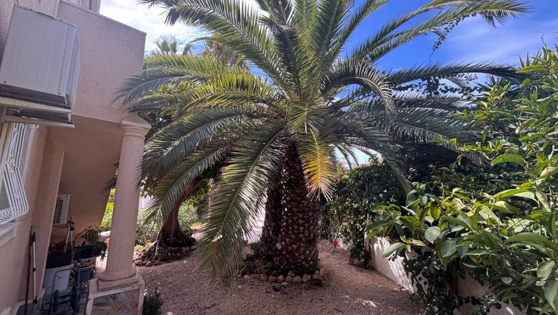Venta - Chalet - Rojales - Ciudad Quesada