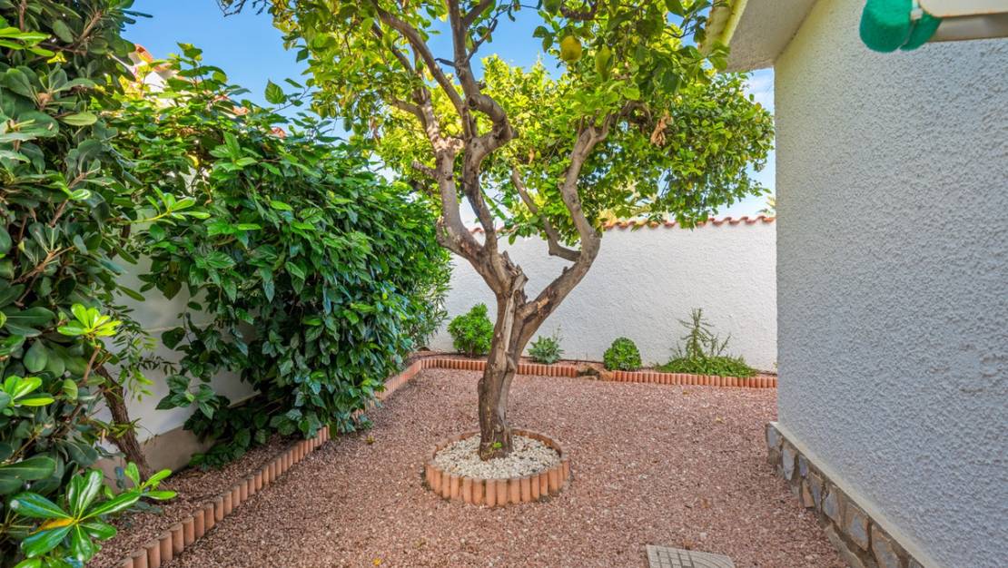 Venta - Chalet - Rojales - Rojales Centro