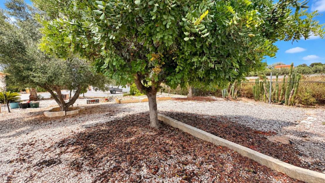 Venta - Chalet - San Fulgencio - La Marina