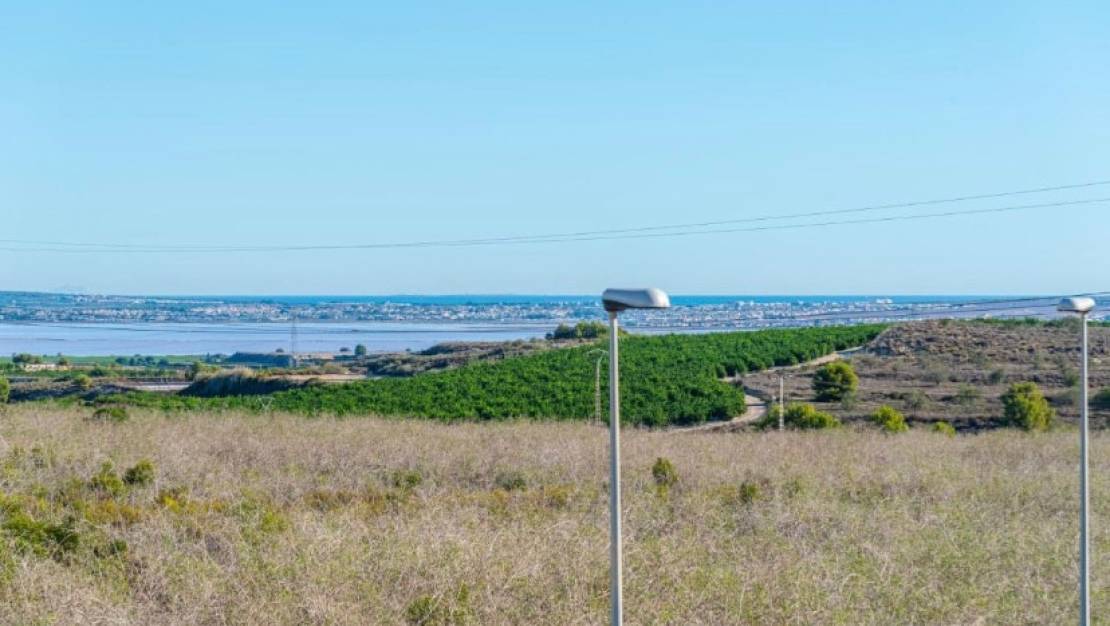 Venta - Chalet - San Miguel de Salinas - San Miguel de Salinas Centro