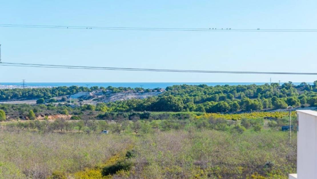 Venta - Chalet - San Miguel de Salinas - San Miguel de Salinas Centro