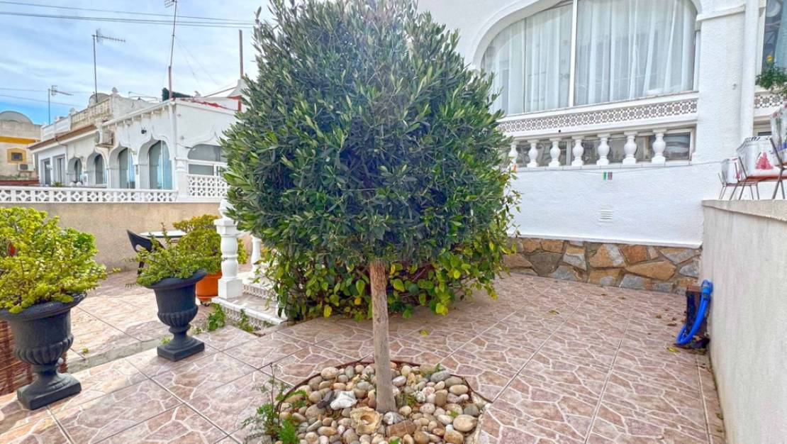 Venta - Chalet - San Miguel de Salinas - San Miguel de Salinas Centro