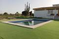 Venta - Chalet - San Miguel de Salinas - San Miguel de Salinas Centro