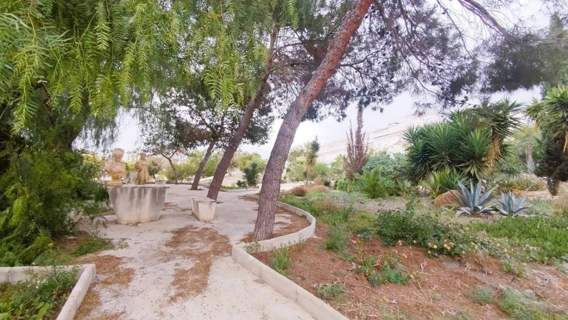 Venta - Chalet - San Miguel de Salinas - San Miguel de Salinas Centro