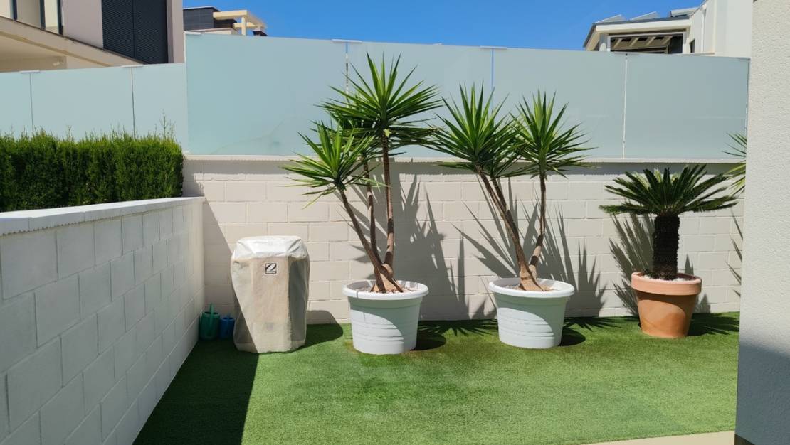 Venta - Chalet - San Miguel de Salinas - San Miguel de Salinas Centro