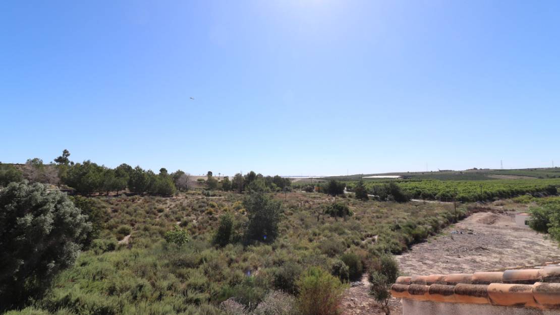 Venta - Chalet - San Miguel de Salinas - San Miguel de Salinas Centro
