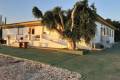 Venta - Chalet - San Miguel de Salinas - San Miguel de Salinas Centro
