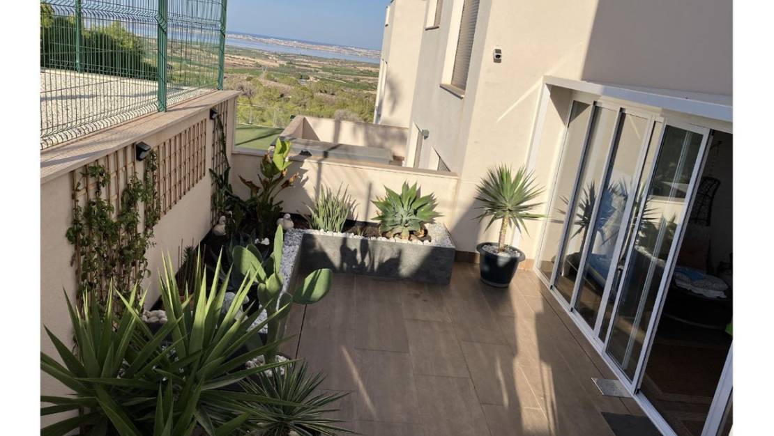 Venta - Chalet - San Miguel de Salinas - San Miguel de Salinas Centro