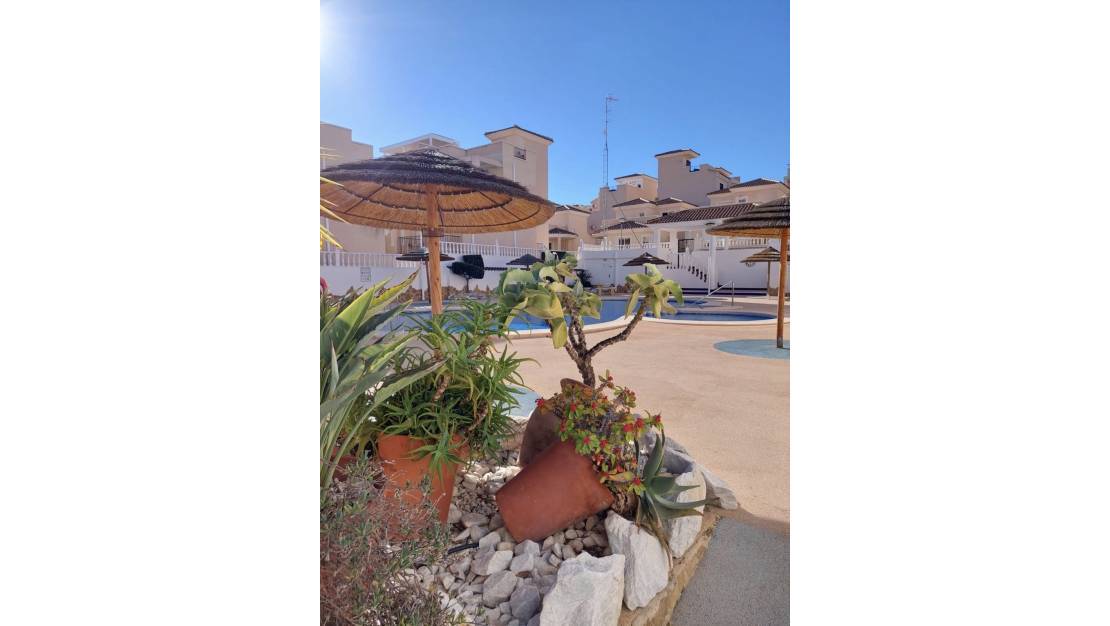 Venta - Chalet - San Miguel de Salinas - San Miguel de Salinas Centro