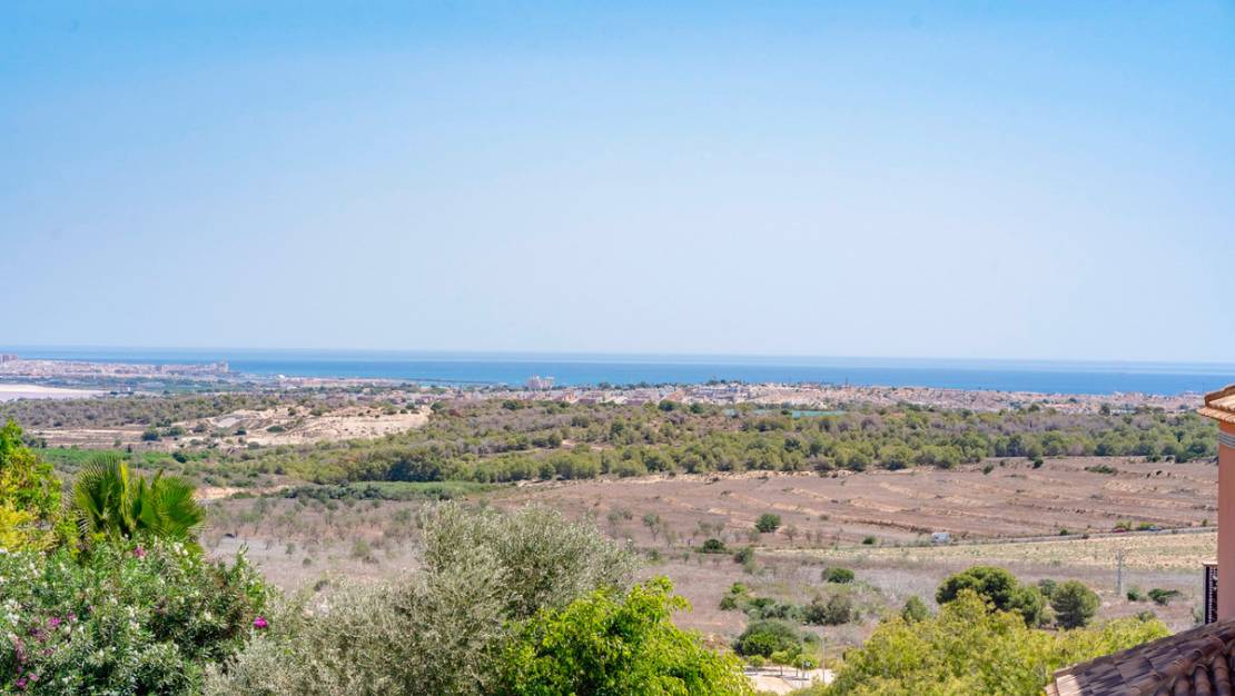 Venta - Chalet - San Miguel de Salinas - san miguel