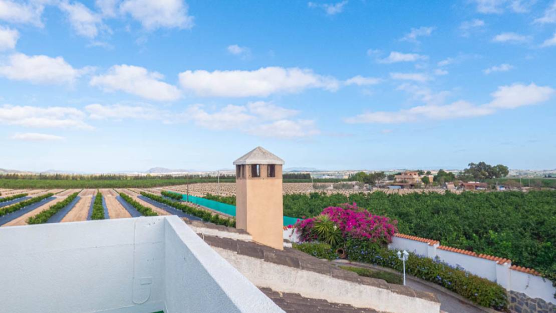 Venta - Chalet - San Miguel de Salinas