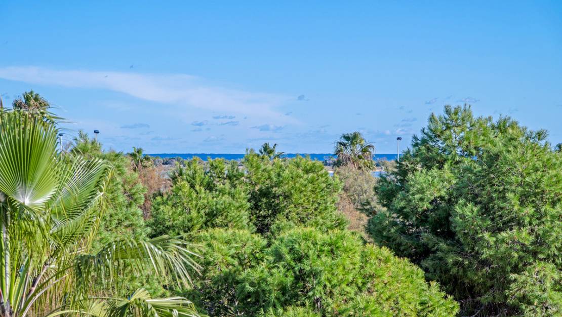 Venta - Chalet - San Pedro del Pinatar - San Pedro del Pinatar Centro