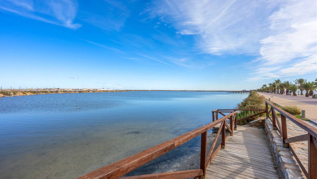 Venta - Chalet - San Pedro del Pinatar - San Pedro del Pinatar Centro