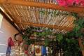 Venta - Chalet - San Pedro del Pinatar - San Pedro del Pinatar Centro