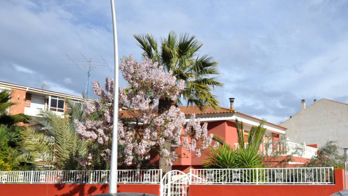 Venta - Chalet - Sax - Sax Centro