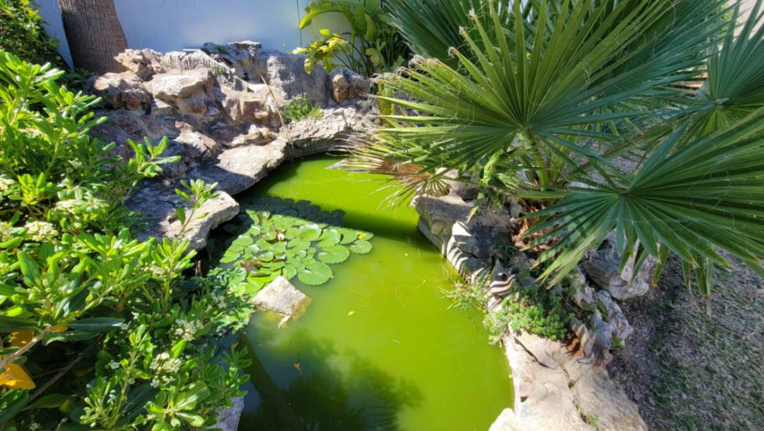 Venta - Chalet - Teulada - Moraira