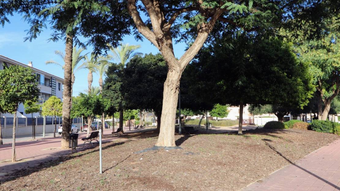 Venta - Chalet - Torre-Pacheco - San Cayetano