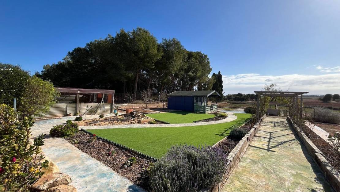 Venta - Chalet - Torre-Pacheco - Torre-Pacheco Centro