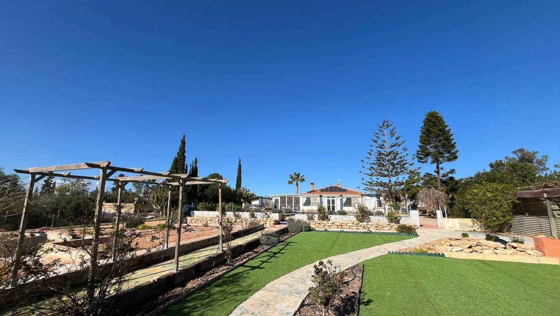 Venta - Chalet - Torre-Pacheco - Torre-Pacheco Centro