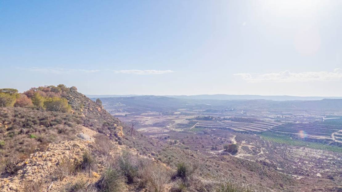 Venta - Chalet - Torremendo
