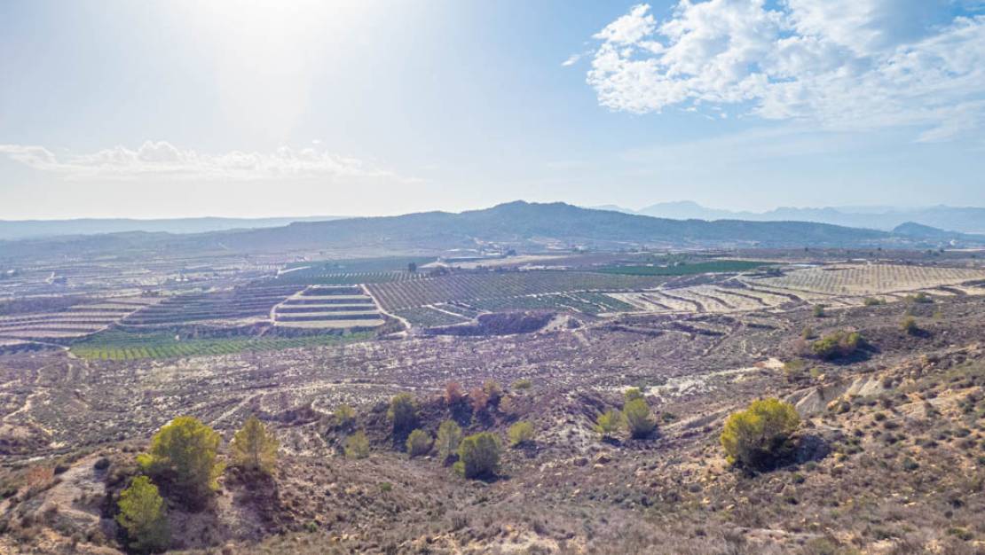 Venta - Chalet - Torremendo