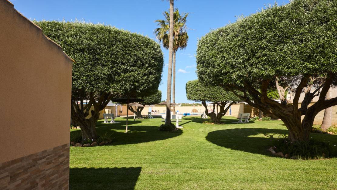 Venta - Chalet - Torrevieja - Jardin del Mar
